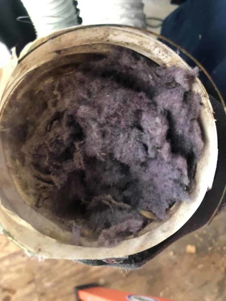 Clogged Flex Pipe
